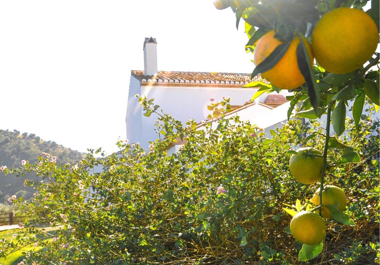Cortijo Las Caballerias アロラ エクステリア 写真