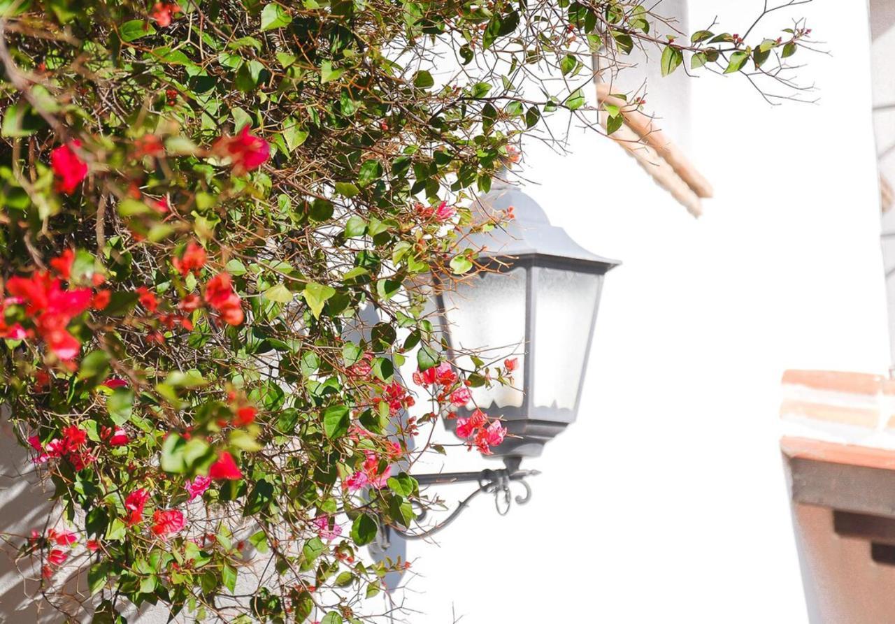 Cortijo Las Caballerias アロラ エクステリア 写真