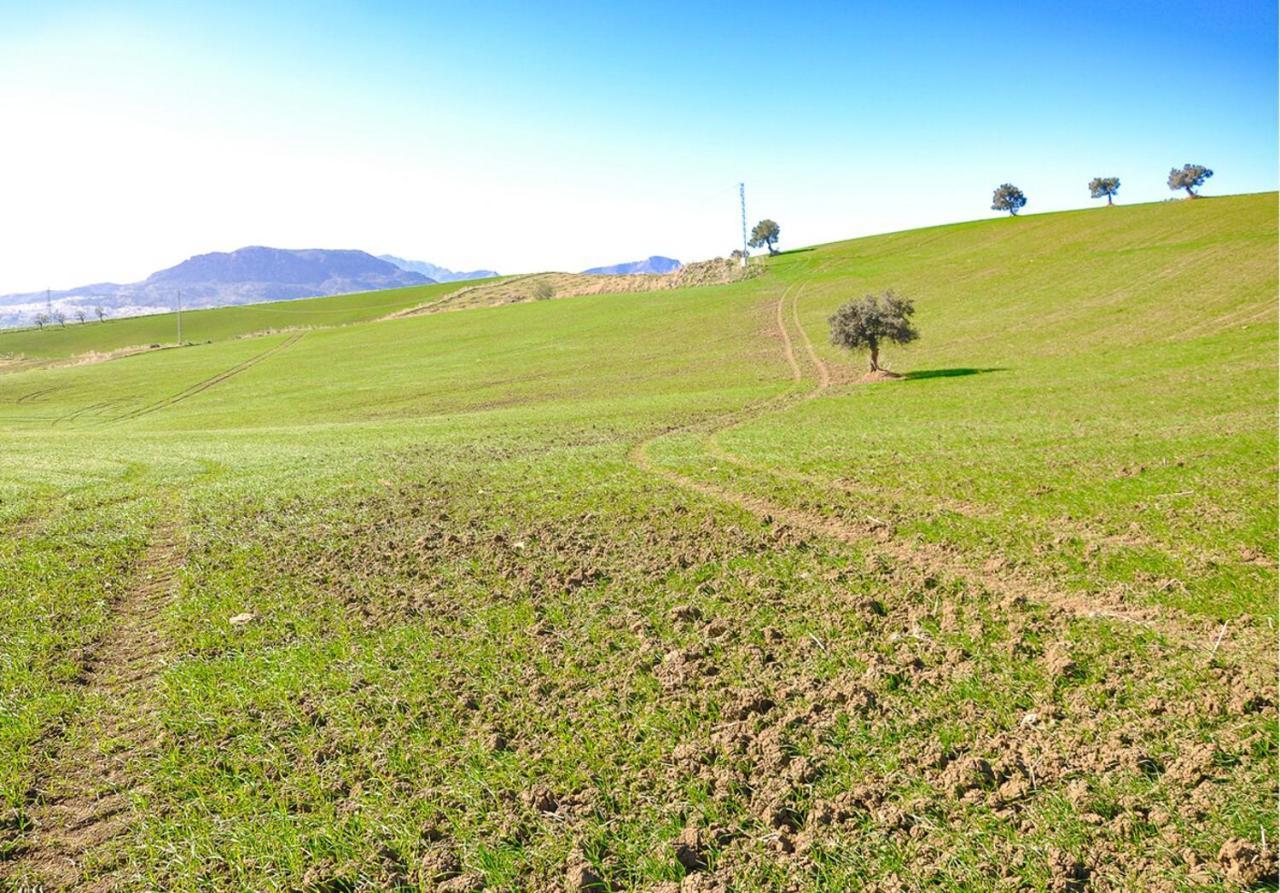 Cortijo Las Caballerias アロラ エクステリア 写真